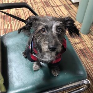 Meet your Posher, Jillian but generally it’s Jill